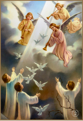 miracle